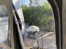 174-08-01-2026 IMG_6513